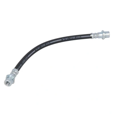 Immagine di DELPHI LH6440 Tubi Freno 302 M10x1 Int DF