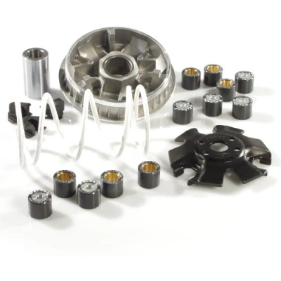 Immagine di MALOSSI Variatore Multivar, per Malaguti 100 Ciak/F12 Phantom, 2T AC 16 x 13 mm, 6 rotelle, 9,0 g