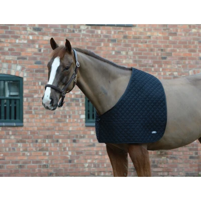 Immagine di Weatherbeeta Deluxe Shoulder Guard