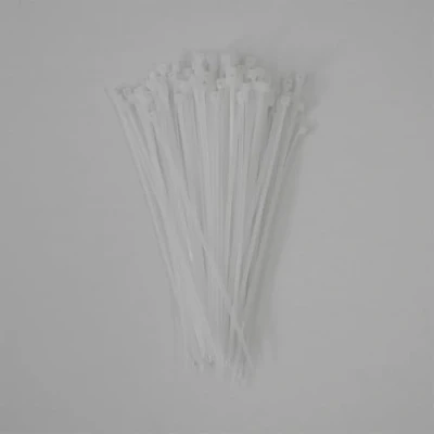 Immagine di Schneider Electric Thorsman Fascette fermacavi in poliammide, 160 x 2,5 mm, colore trasparente, varie dimensioni, bordi arrotondati lisci, super resistenti, autobloccanti per la gestione dei cavi,