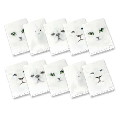Immagine di Pigna Monocromo Bianco, Rigatura 0B Quaderno A4 Carta 100g/mq, Pacco da 10 Pezzi 02307910B