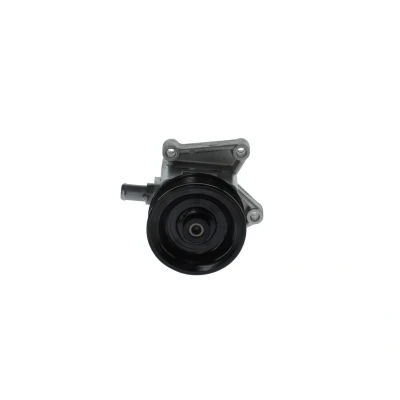 Immagine di STARQ SQ924 06110 Pompa Idroguida idraulico rotativa a palette FIAT: Ducato III Bus, Van
