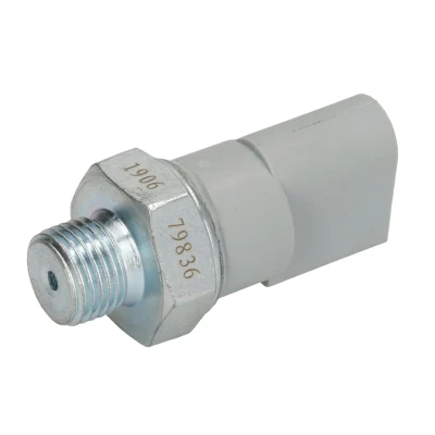 Immagine di DT Spare Parts 4.62939 Bulbo Pressione Olio M16 x 1,5