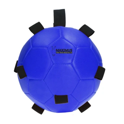Immagine di Maximus Divertente palla da gioco Blu 19