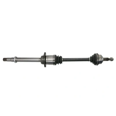 Immagine di Albero motore/Semiasse PASCAL G22009PC