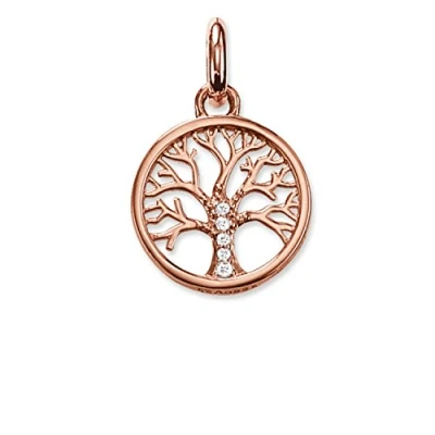 Immagine di Thomas Sabo KC 0002 416 14 Ciondolo in Vermeil e Zirconia Cubica