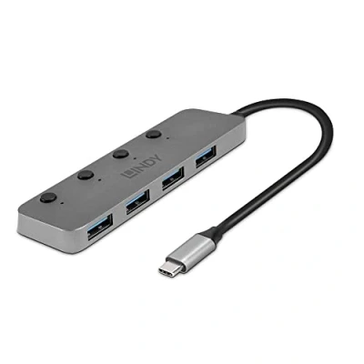 Immagine di LINDY 43383 4 Porte USB C® (USB 3.1) Multiport Hub Grigio