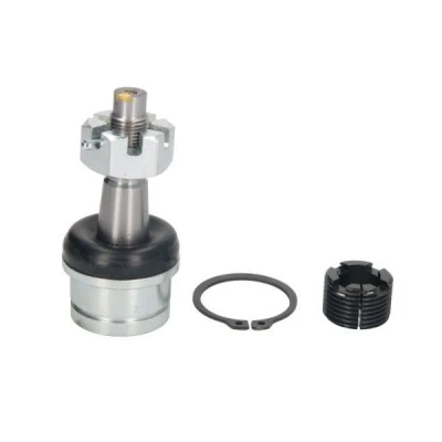 Immagine di REINHOCH RH03 6004 Testina braccio oscillante inferiore, Assale anteriore bilaterale JEEP: GRAND CHEROKEE 2, WRANGLER 3, 2