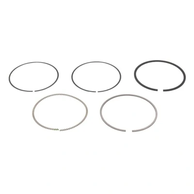 Immagine di MAHLE ORIGINAL 012 21 N0 Kit Fasce Elastiche 79,0 OPEL: Zafira B, Meriva A, VAUXHALL: Astra Mk5