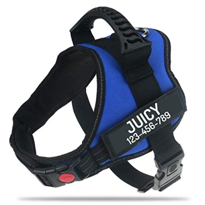 Immagine di PawPawify, Pettorina antitiro per cani robusta, evitare strattoni, tirate o soffocamento, addestramento e passeggiate, personalizzabile con nome telefono, L, petto 71 96,5 cm, multicolore