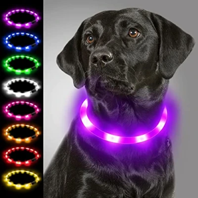 Immagine di Joytale Collare Luminoso per Cani, di Cane LED Ricaricabile USB, Sicurezza con 3 Modalità Luminose Cani Taglia Piccola Media Grande, Viola