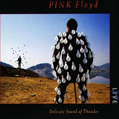 Immagine di Delicate Sound Of Thunder