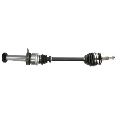 Immagine di Albero motore/Semiasse PASCAL G2W042PC