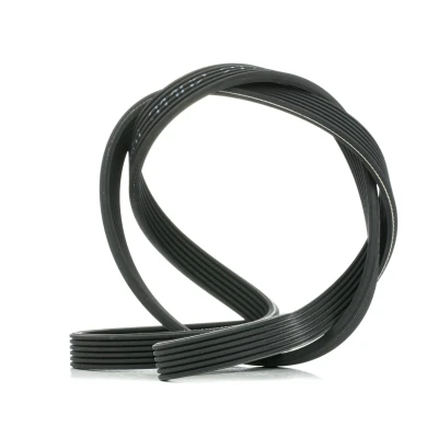 Immagine di FEBI BILSTEIN 34462 Cinghia Poly V 1841 6 EPDM (Etilene Propilene Diene Caucciù) VOLVO: V70 2, S60 I, XC70 I Cross Country