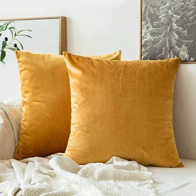 Immagine di MIULEE Federe Cuscini Arredo Divano Copricuscini Soggiorno Arredamento Casa Moderni Elegante Morbido Resistente in Velluto con la Cerniera Invisibile 2 Pezzi D&#039;oro 40X40 CM