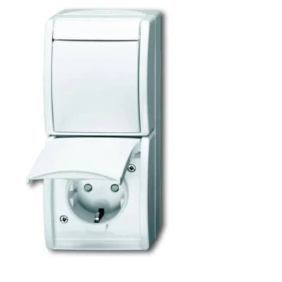 Immagine di Busch Jaeger, Presa di corrente, Combinazione
