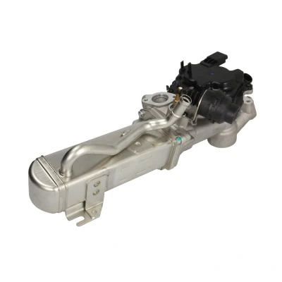 Immagine di NRF 48205 Modulo EGR con radiatore