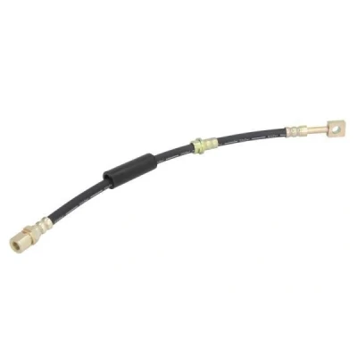 Immagine di ABE C84130ABE Tubi Freno Assale anteriore bilaterale 391 M10x1 internal