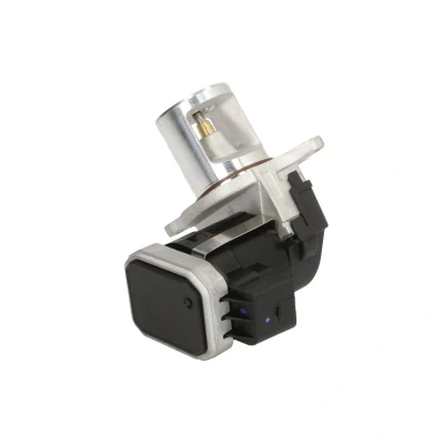 Immagine di DELPHI EG10485 12B1 Valvola EGR senza radiatore MERCEDES BENZ: Classe E Sedan, C T modell