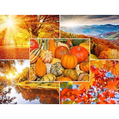 Immagine di Caratteristiche del paesaggio Herbst (set 6): set di 50 cartoline (5 motivi x 10 pezzi) per postcrossing e scrittori Edition Colibri (10695 99).