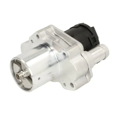 Immagine di Valvola EGR DELPHI EG10486 12B1