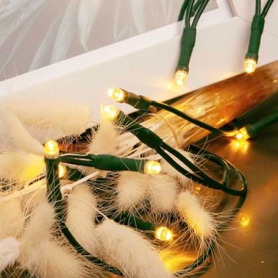 Immagine di Hellum LED mini luci da fata per interni, 10 LED, 135 cm di lunghezza illuminata, cavo verde, interni bianco caldo, come albero Natale 577532