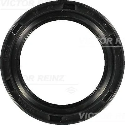 Immagine di REINZ 81 17539 10 Paraolio Albero Motore ACM (Poliacrilico Caucciù) HYUNDAI: Santa Fe I, Tucson, Coupe II, KIA: Sportage II