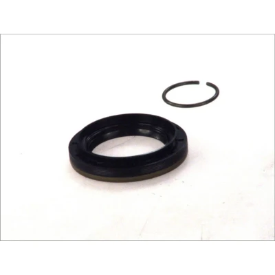 Immagine di REINZ 81 29408 00 Paraolio Albero a Camme
