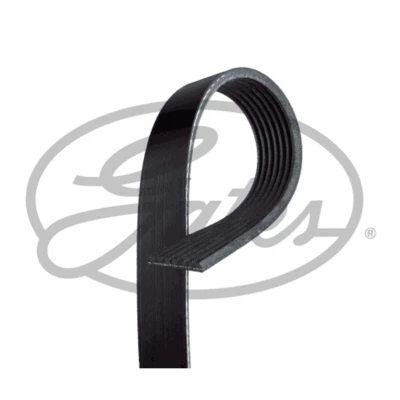 Immagine di GATES 7PK1663 Cinghia Poly V 1663 7 Poliestere, EPDM (Etilene Propilene Diene Caucciù) NISSAN: NP300 Navara Pick up