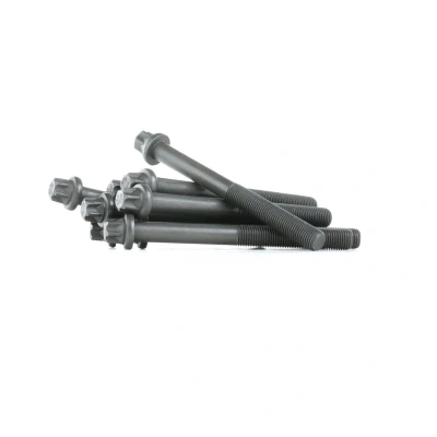 Immagine di REINZ 14 32040 01 Kit Bulloni Testata Torx esterno OPEL: Calibra A, Astra F Caravan, Kadett E CC