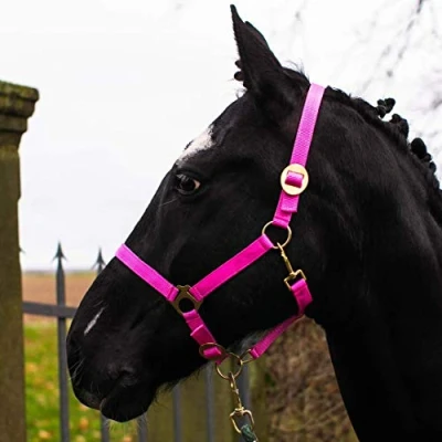 Immagine di cavezza per cavallo, sangue caldo, purosangue, freddo, stalla, pascolo, 2 posizioni regolabili su sottogola e nuca, sicura antistrappo (rosa, mini shetty)