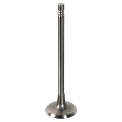 Immagine di FEBI BILSTEIN 181647 Valvola Aspirazione 28,3 PEUGEOT: 207 Hatchback, 206 SW, 307 CITROËN: C2 C3 I Hatchback