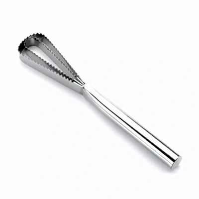 Immagine di Lacor Raschietto per Pesci in Acciaio Inox 18/10, Argento, One Size, 27 cm