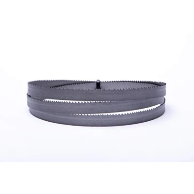 Immagine di Encut Lama per sega a nastro ad alte prestazioni, 2360 x 20 0,9 mm, 10 14 denti pollice, bimetallo, M42
