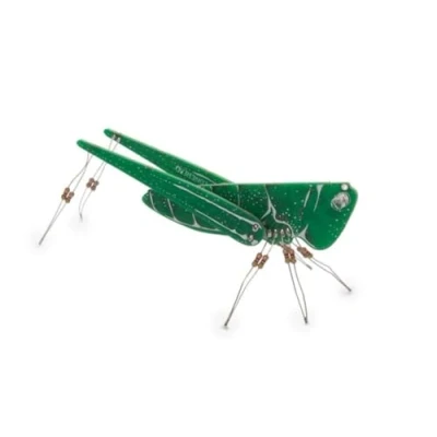 Immagine di Whadda WSAK207 Heuschrecke Modello (kit/modulo): KIT da costruire 3 V