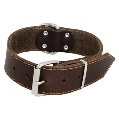 Immagine di JACK AND VANILLA, Collare grande per cani, modello pelle grassa, colore marrone, misura 50 mm x 70 cm