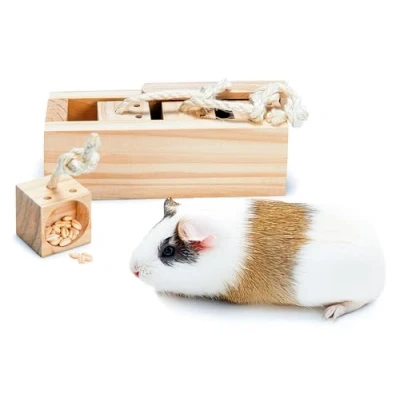Immagine di Karlie Rody Brain Train Cube, 4 Blocchi, Lunghezza 21,5 cm, Larghezza 8,5 Altezza 7,5 Naturale