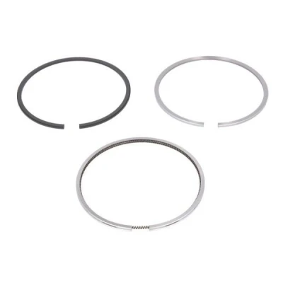 Immagine di ENGITECH ENT047004 STD Kit Fasce Elastiche