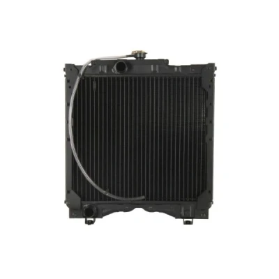 Immagine di Radiatore, Raffreddamento motore THERMOTEC D7AG132TT