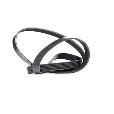 Immagine di RIDEX 305P0083 Cinghia Poly V 1740 6 Poliestere, EPDM (Etilene Propilene Diene Caucciù) CITROËN: Xsara Hatchback, Berlingo / First I