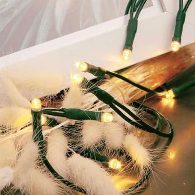 Immagine di Hellum LED mini luci da fata per interni, 20 LED, lunghezza illuminata 285 cm, cavo verde, interni bianco caldo, come albero di Natale 577549