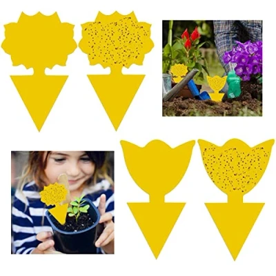 Immagine di GeekerChip Plug in Trappola per Mosche[50 PCS],Insetti Mosche Trappole, Piastre Gialle Adesivo Trappole Appiccicose Piante di Zanzara e Parassiti,Ideale sul Balcone o Giardino