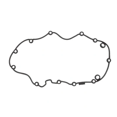 Immagine di REINZ 71 40482 00 Guarnizione Coperchio Punterie AUDI: Q7, A8 D3, D4, VOLKSWAGEN: Touareg II, PORSCHE: Cayenne