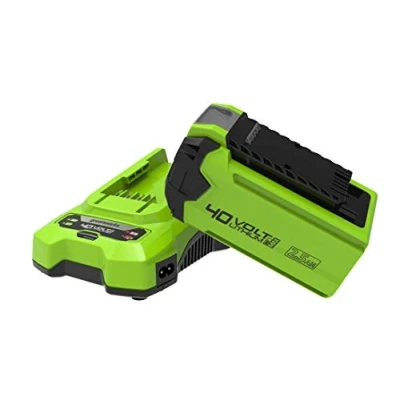 Immagine di Greenworks Batteria da 40 V 2.5 Ah G40B25 e Caricabatterie Universale G40UC, Li Ion 2.5Ah, Output 80 W/2 A, Adatto a Tutti gli Attrezzi Batterie della Serie