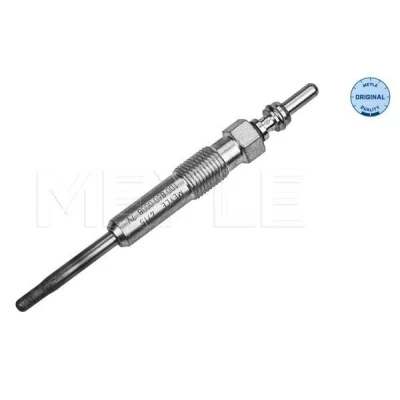 Immagine di MEYLE 100 860 0008 Candeletta M10 x 1,0 VOLKSWAGEN: Passat B6 Variant, Multivan 5 (7HM, Polo IV Hatchback, AUDI: A3 Sportback, A4 B7 Avant