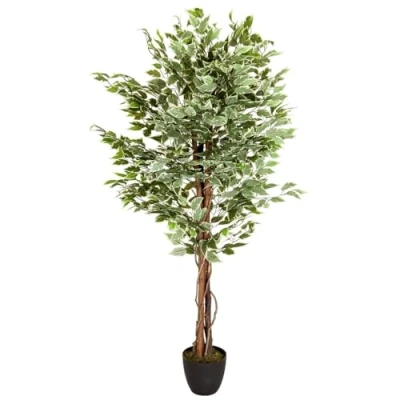 Immagine di HJH Office Pianta Artificiale FICUS Benjamini Altezza 165 cm Verde/Bianco 1008 Foglie Deco d&#039;appartamento Betulla Fico Artificiale, 871000