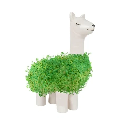Immagine di il Lama Vegetale, Regali per Papà, di Compleanno, Lei, un&#039;Amica, la Sorella, Mamma, Divertenti, Regalini, Regalo, Idee Regalo