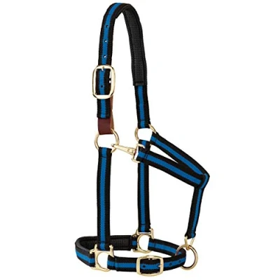Immagine di Weaver Leather Capezza a scatto regolabile per mento e gola imbottita, 2,5 cm media cavallo o annuo, righe blu