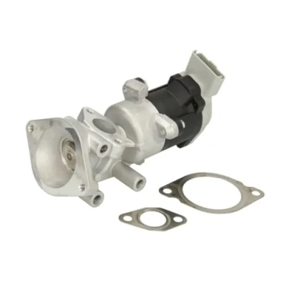 Immagine di DELPHI EG10640 12B1 Valvola EGR elettrico