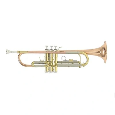 Immagine di Roy Benson Bb Trumpet TR 202G (costruzione durevole in ottone dorato, con custodia rettangolare leggera, set di zaini, valvole acciaio inossidabile qualità superiore)